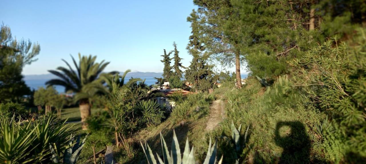 Seaside View Villa 하니오티 외부 사진